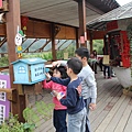 IMG_5028.JPG