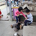 IMG_5035.JPG