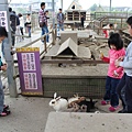 IMG_5036.JPG