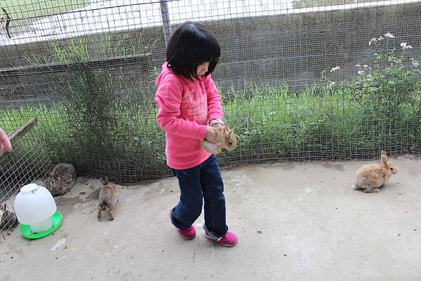 IMG_5053.JPG