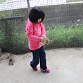 IMG_5053.JPG