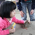 IMG_5055.JPG