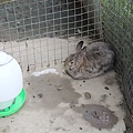 IMG_5068.JPG