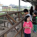 IMG_5075.JPG