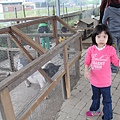 IMG_5078.JPG