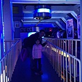 IMG_7429.jpg