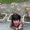 IMG_5393.JPG