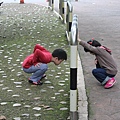 IMG_5400.JPG
