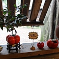 IMG_5459.JPG