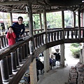 IMG_5515.JPG