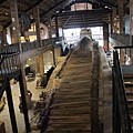 IMG_5533.JPG