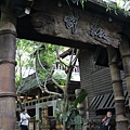 IMG_5536.JPG
