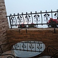IMG_5553.JPG