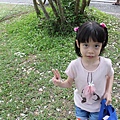 IMG_5961.JPG