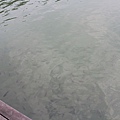 IMG_6075.JPG