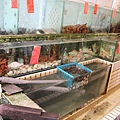 IMG_6223.JPG