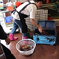 IMG_6227.JPG