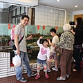 IMG_6237.JPG