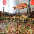 IMG_6246.JPG