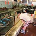 IMG_6254.JPG