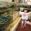 IMG_6258.JPG