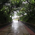 IMG_6516.JPG