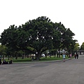 IMG_8063.jpg