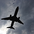 IMG_8070.jpg