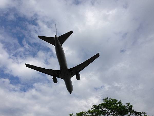 IMG_8071.jpg