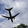 IMG_8071.jpg