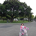IMG_8080.jpg