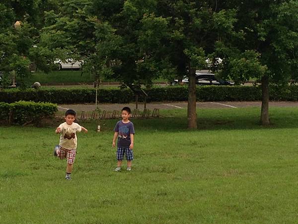 IMG_8206.jpg