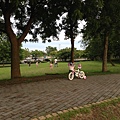 IMG_8212.jpg