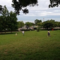 IMG_8214.jpg