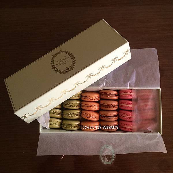 IMG_5812.jpg IMG_5812.jpg