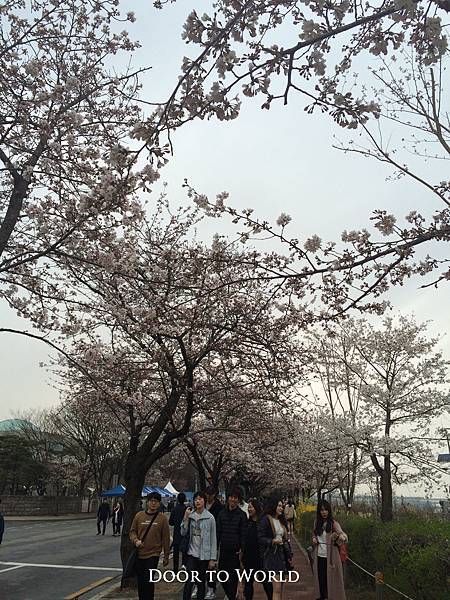 DIMG_8902.jpg DIMG_8902.jpg