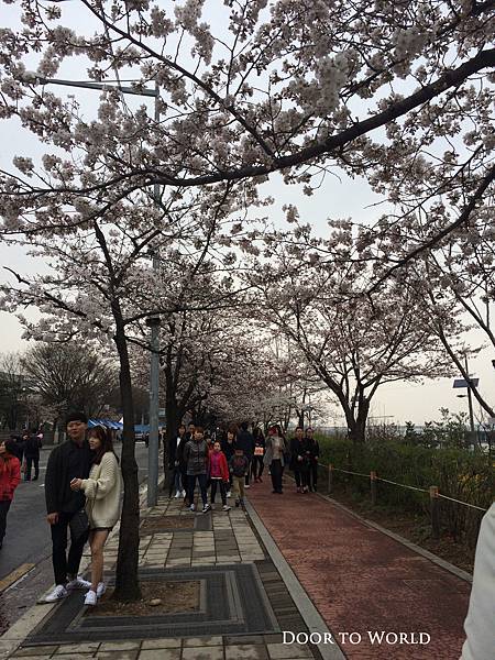 DIMG_8901.jpg DIMG_8901.jpg