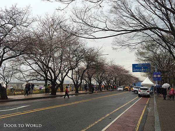 DIMG_8905.jpg DIMG_8905.jpg