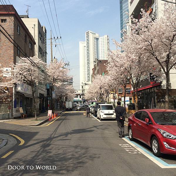 DIMG_5022.jpg DIMG_5022.jpg