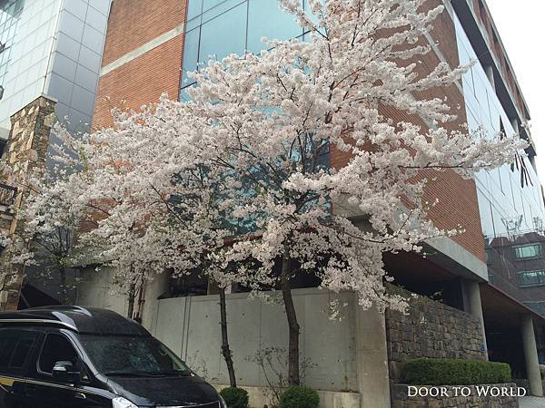 DIMG_9141.jpg DIMG_9141.jpg