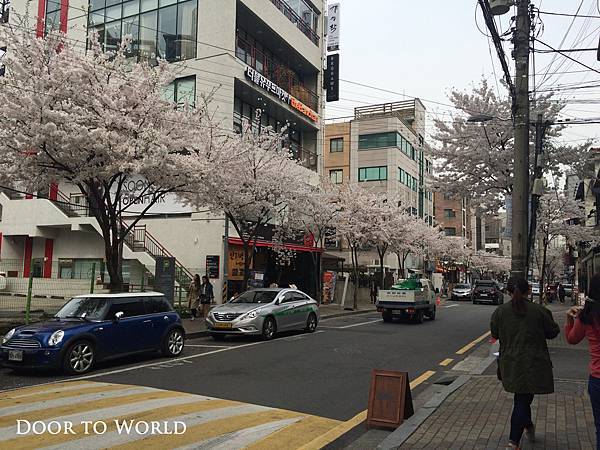 DIMG_9139.jpg DIMG_9139.jpg