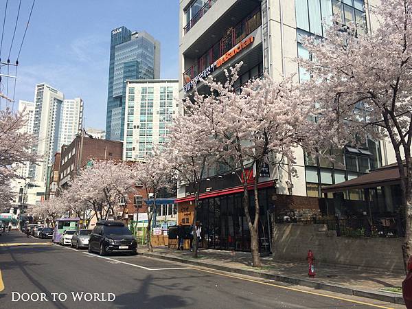 DIMG_9087.jpg DIMG_9087.jpg