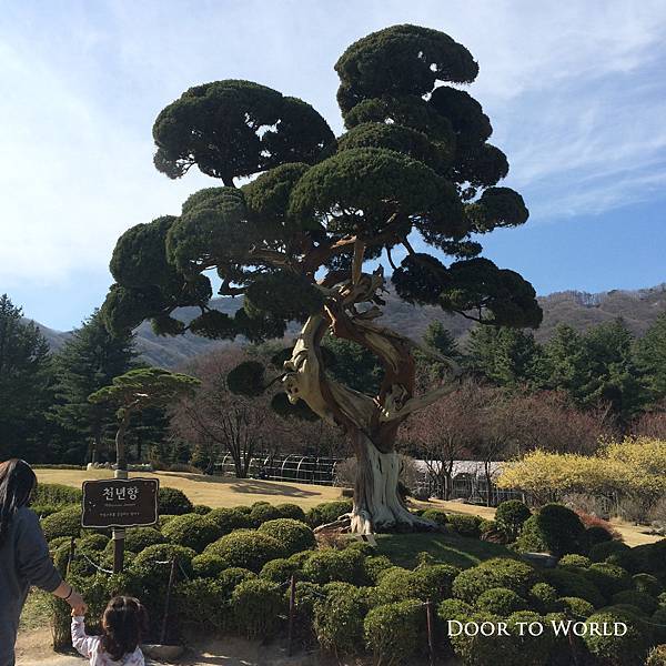 DIMG_4934.jpg DIMG_4934.jpg