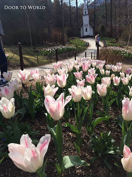 DIMG_4943.jpg DIMG_4943.jpg