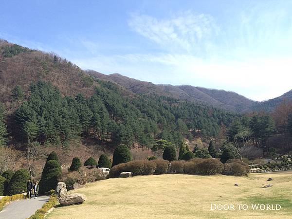 DIMG_8980.jpg DIMG_8980.jpg