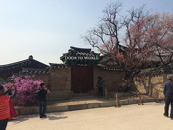 DIMG_4993.jpg DIMG_4993.jpg