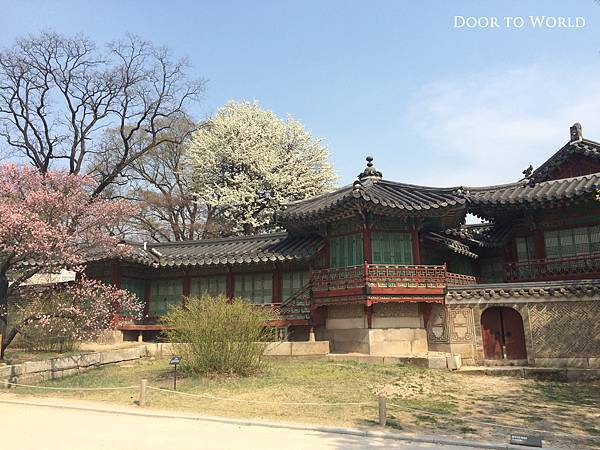 DIMG_4992.jpg DIMG_4992.jpg