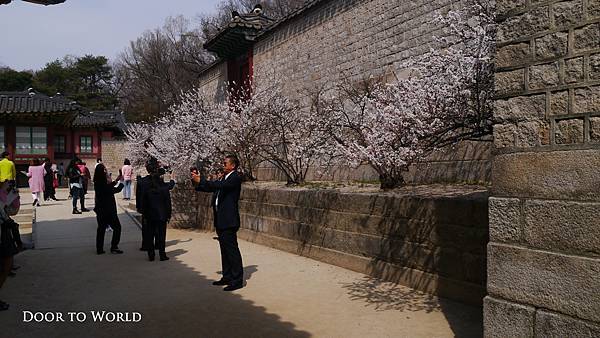 DP1090278.jpg DP1090278.jpg