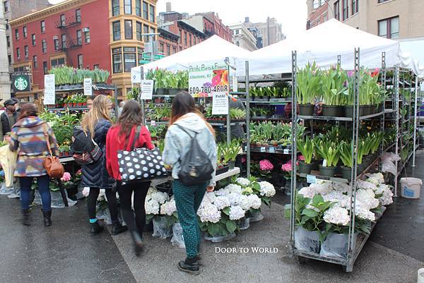 DIMG_5463.jpg DIMG_5463.jpg