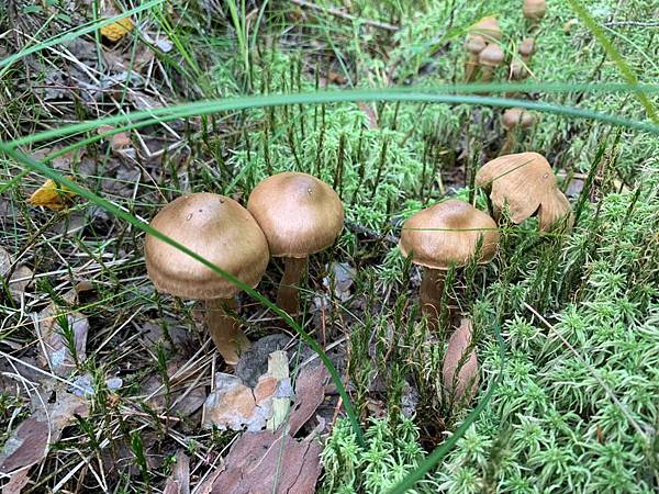 2019-08-17 17.20.56.jpg